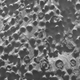 Illustration for article titled NASA Discovers Mysterious Spheres On Mars